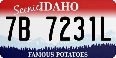 ID license plate 7B7231L
