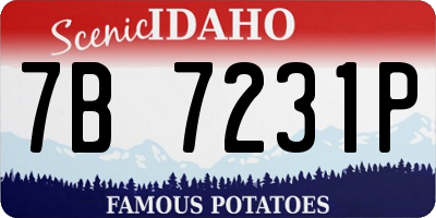 ID license plate 7B7231P