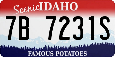 ID license plate 7B7231S