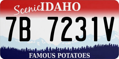 ID license plate 7B7231V