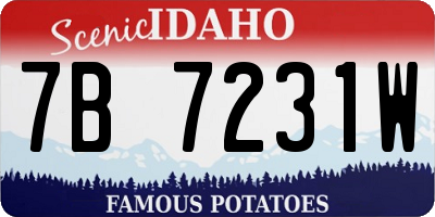 ID license plate 7B7231W