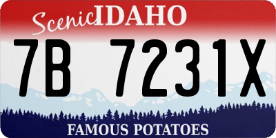 ID license plate 7B7231X