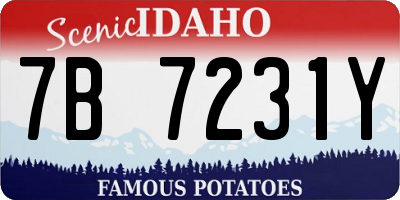 ID license plate 7B7231Y