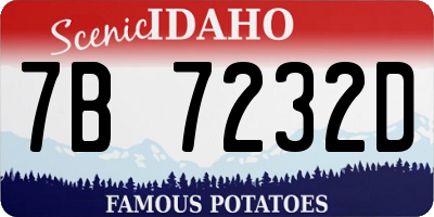 ID license plate 7B7232D