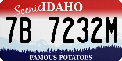 ID license plate 7B7232M