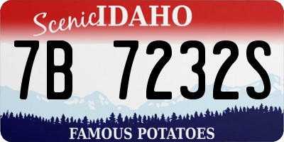 ID license plate 7B7232S