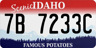 ID license plate 7B7233C
