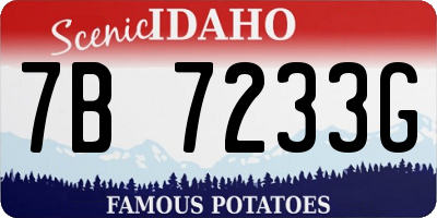 ID license plate 7B7233G