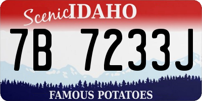 ID license plate 7B7233J