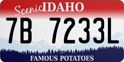 ID license plate 7B7233L