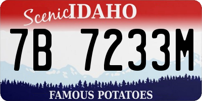 ID license plate 7B7233M