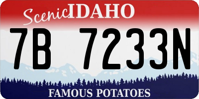 ID license plate 7B7233N