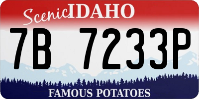 ID license plate 7B7233P