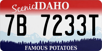 ID license plate 7B7233T
