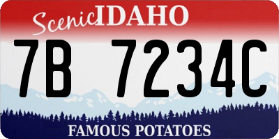 ID license plate 7B7234C