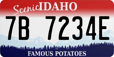 ID license plate 7B7234E