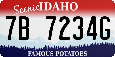ID license plate 7B7234G