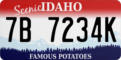 ID license plate 7B7234K