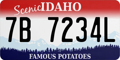 ID license plate 7B7234L