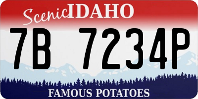 ID license plate 7B7234P