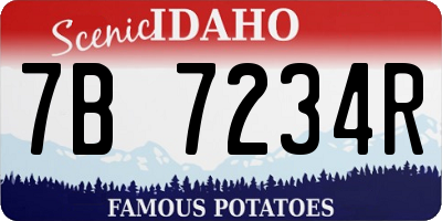 ID license plate 7B7234R
