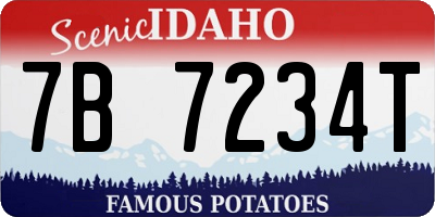 ID license plate 7B7234T