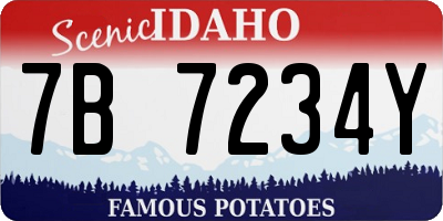 ID license plate 7B7234Y
