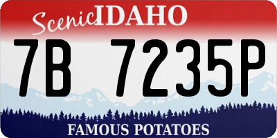 ID license plate 7B7235P