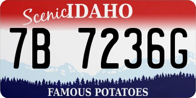 ID license plate 7B7236G