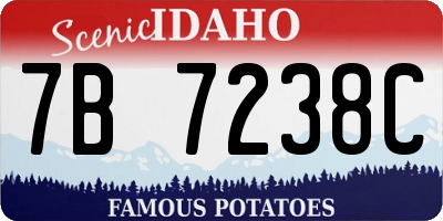 ID license plate 7B7238C