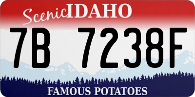 ID license plate 7B7238F