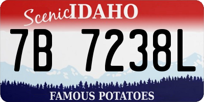 ID license plate 7B7238L
