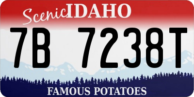 ID license plate 7B7238T