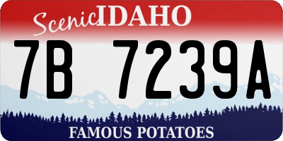 ID license plate 7B7239A