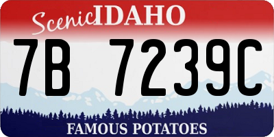 ID license plate 7B7239C