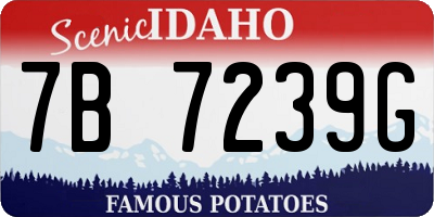 ID license plate 7B7239G