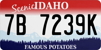 ID license plate 7B7239K