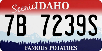 ID license plate 7B7239S