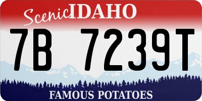 ID license plate 7B7239T