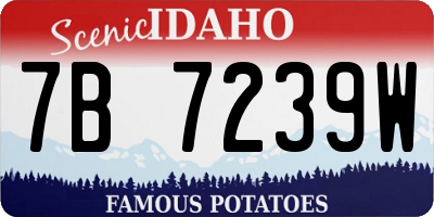 ID license plate 7B7239W