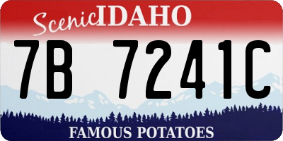 ID license plate 7B7241C