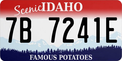 ID license plate 7B7241E