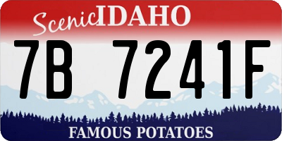 ID license plate 7B7241F