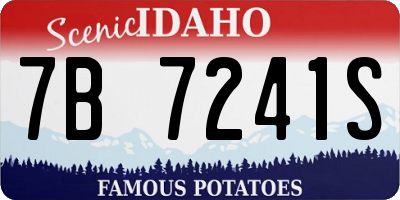 ID license plate 7B7241S