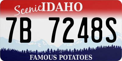 ID license plate 7B7248S