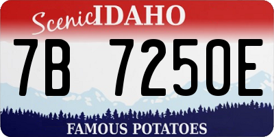 ID license plate 7B7250E