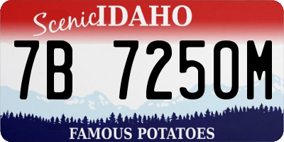 ID license plate 7B7250M