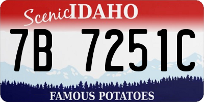 ID license plate 7B7251C