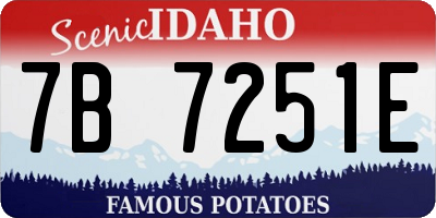 ID license plate 7B7251E
