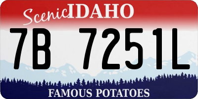 ID license plate 7B7251L